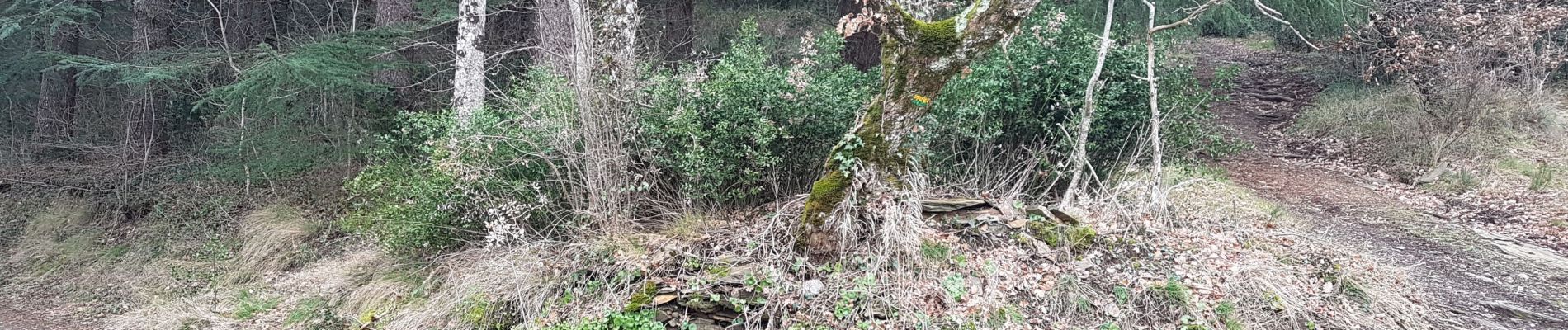 Randonnée Marche Mas-Cabardès - Mas le Carnier - Photo