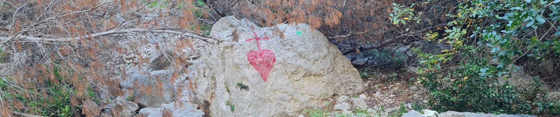 Tour Wandern Toulon - Le faron..solo - Photo