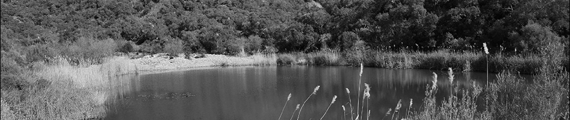 Trail Walking Saint-Raphaël - Pk Col de Belle Barbe - Croupe Baptiston et retour - Photo