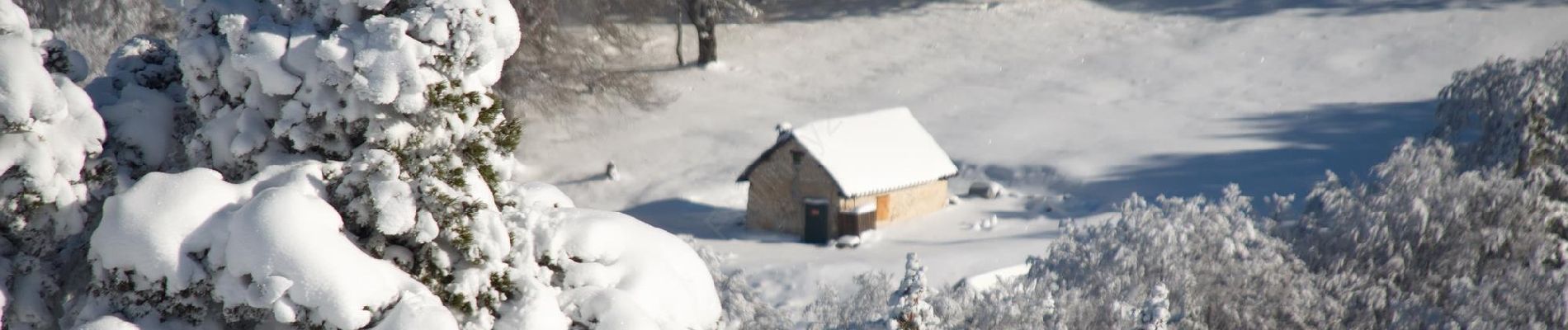Randonnée Raquettes à neige Saint-Agnan-en-Vercors - Beure - Écondus - Photo
