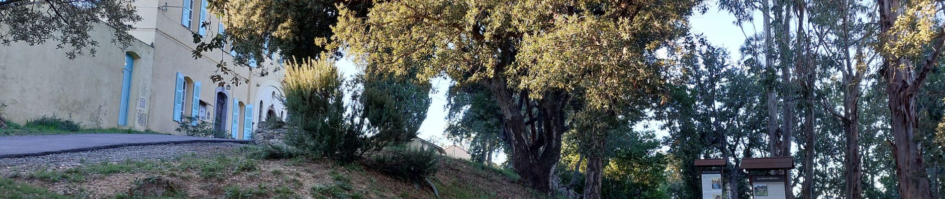 Randonnée Marche Roquebrune-sur-Argens - les hauts de Roquebrune  - Photo