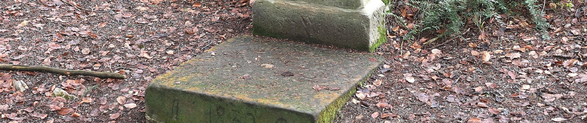 Tour Zu Fuß Lichtenfels - Hochstadter Südweg - Photo