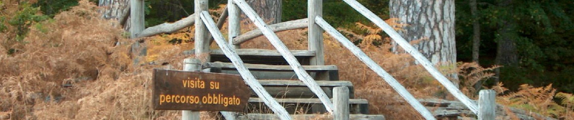 Trail On foot Casali del Manco - (SI U20) Rifugio Monte Botte Donato - Camigliatello Silano - Photo