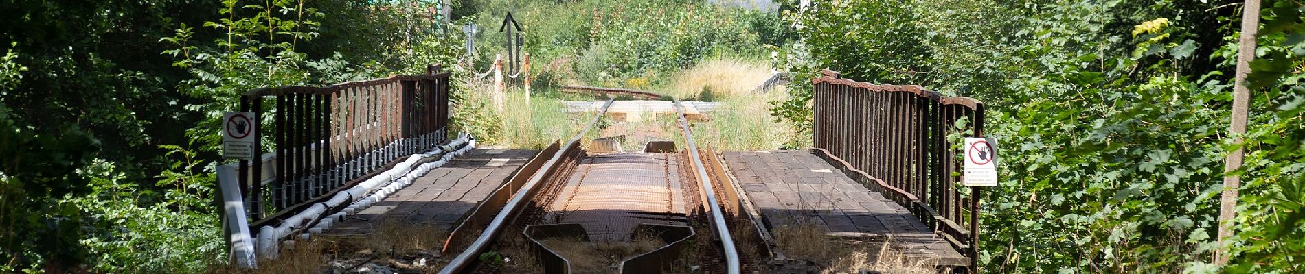 Tour Zu Fuß Naila - Froschgrüner Weg OS 44 - Photo