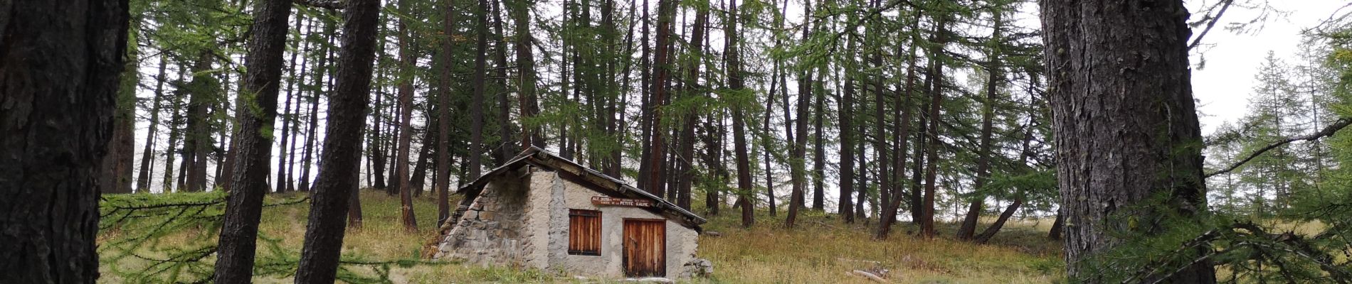 Tour Wandern Uvernet-Fours - Cabane de la petite Saume. 27/09/20 - Photo