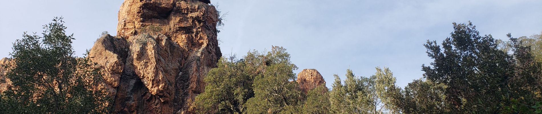 Randonnée Marche Le Muy - Le vallon du Leyron - Photo