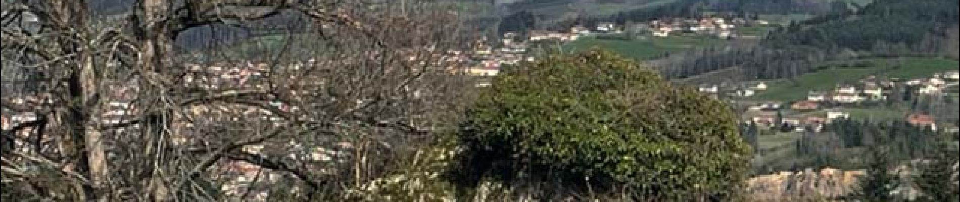 Excursión Senderismo La Gresle - La Gresle : d'une colline à l'autre - Photo