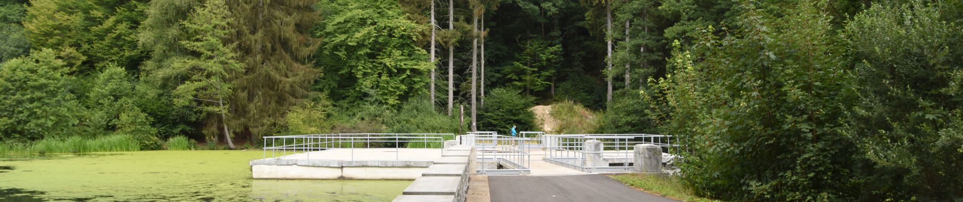 Randonnée Marche Jalhay - 20220727 - La Borchêne - 5 Km - Photo