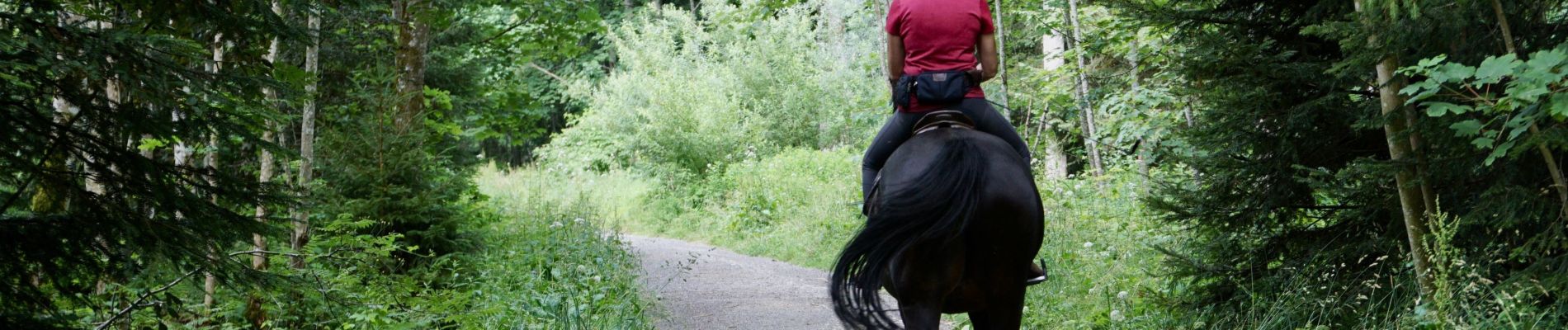 Tocht Paardrijden Gesves - FAULX-LES TOMBES - CIRCUIT H - CAVALIER - BALISÉ - Photo