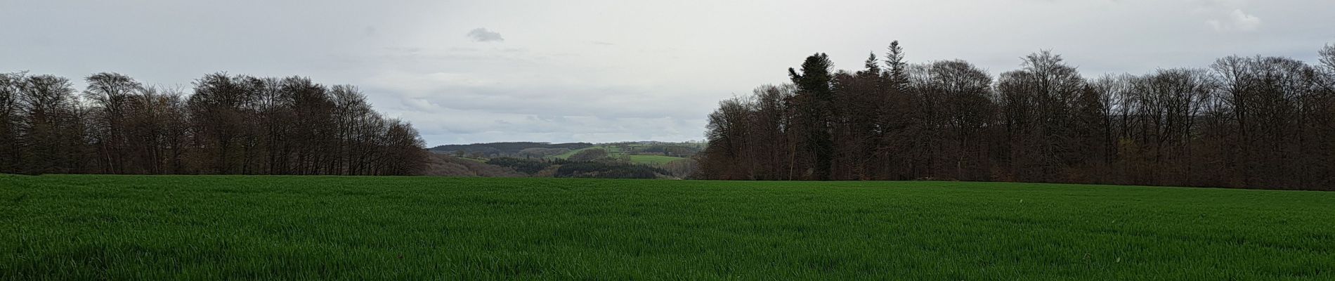 Percorso Marcia Hotton - Marche ADEPS Hotton 16Km - Photo