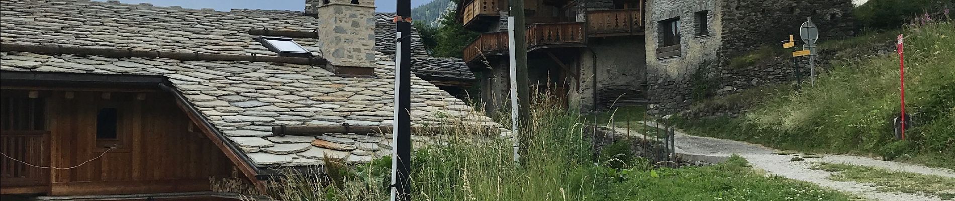 Tocht Stappen Sainte-Foy-Tarentaise - Sentier des fraises  - Photo