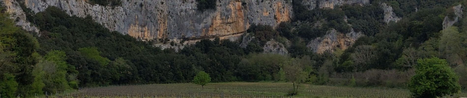 Percorso Marcia Vallon-Pont-d'Arc - grotte louoi et derocd - Photo