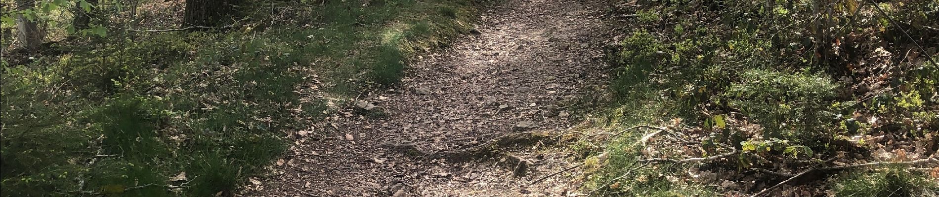 Tocht Stappen Ferrières - Adeps  10 Km à Burnontige  - Photo