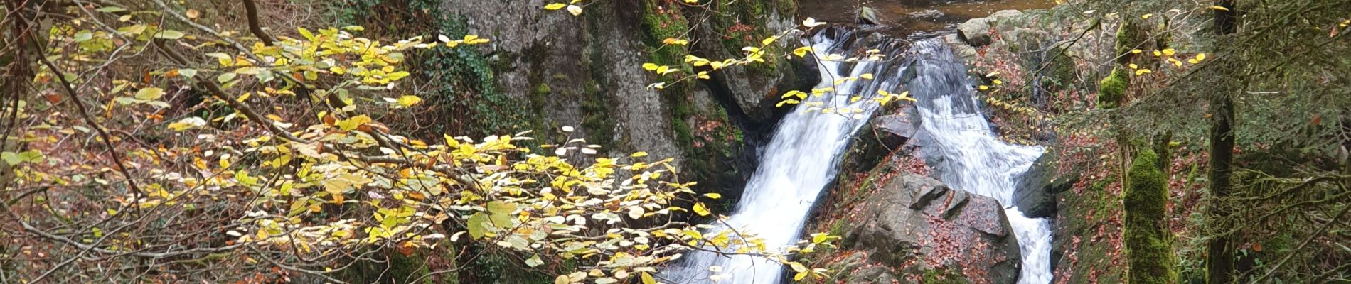 Tour Wandern Le Tholy - tendon petite et grande AR - Photo