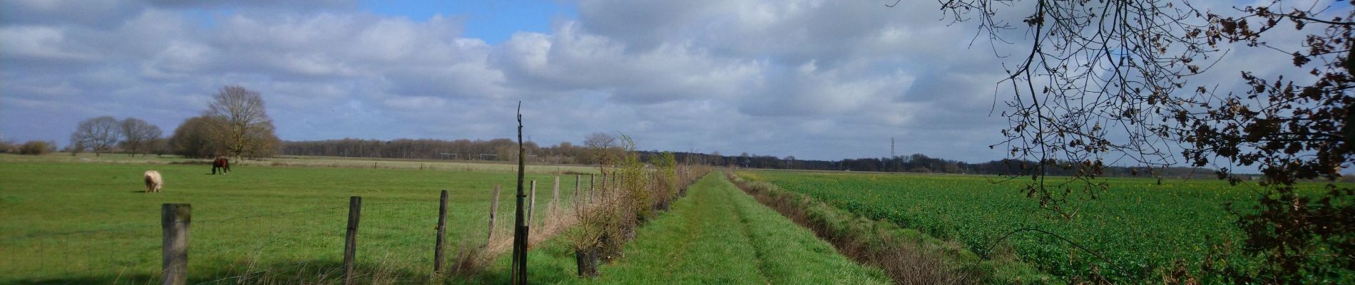 Trail Walking Sainte-Catherine-de-Fierbois - Sainte-Catherine-de-Fierbois - GR655 - 21.1km 100m 4h25 (24mn) - 2021 03 14 - Photo