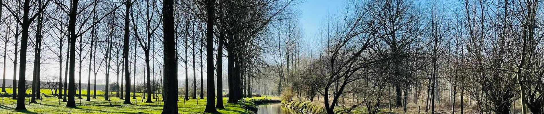 Excursión Senderismo Crisnée - Le long de la rivière Geer à Lauw - Photo