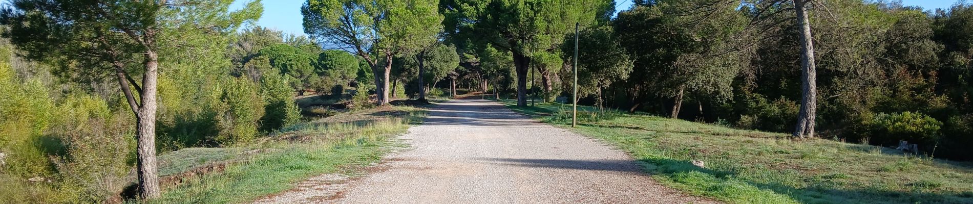 Tocht Te voet La Motte - Massif de la Colle du Rouet 25-09-2024 - Photo