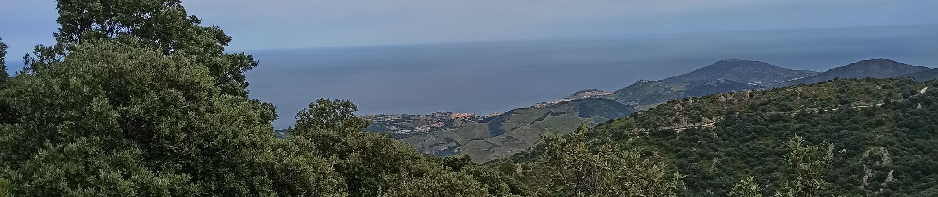 Tour Wandern Argelès-sur-Mer - massane - Photo