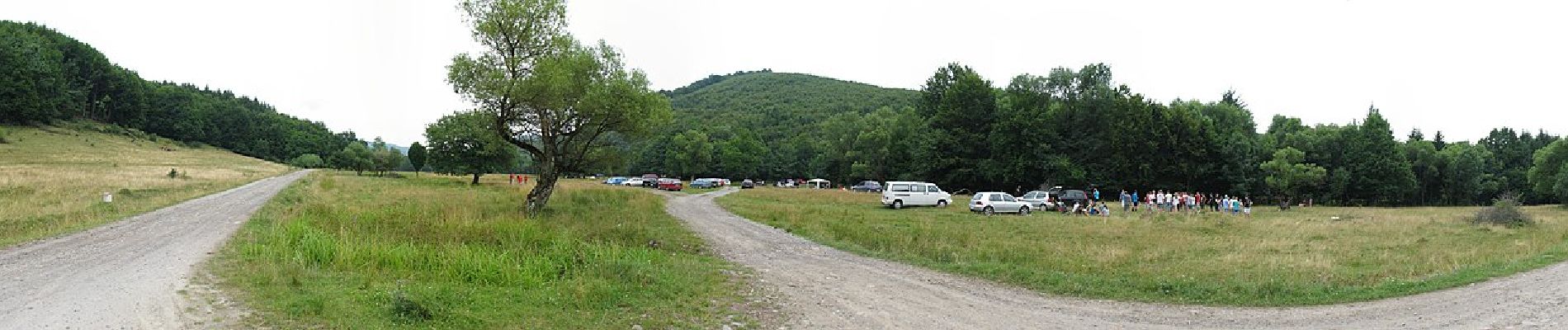 Tocht Te voet Unknown - Câmpu Cetății - Valea Nirajul Mic - Vf. Saca Mare - Photo