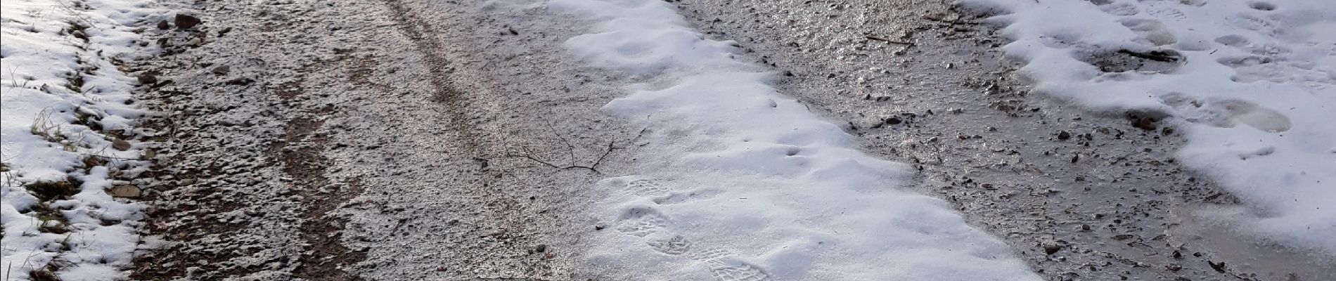 Tocht Noords wandelen Rimbach-près-Guebwiller - 2019-01-16 Rimbach Glashutte - Photo