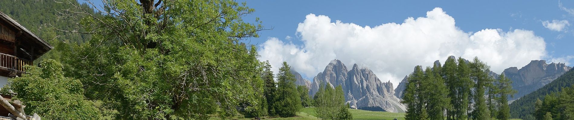 Randonnée A pied Villnöß - Funes - IT-26 - Photo