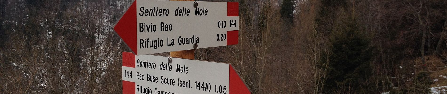 Excursión A pie Recoaro Terme - Sentiero delle Mole - Photo