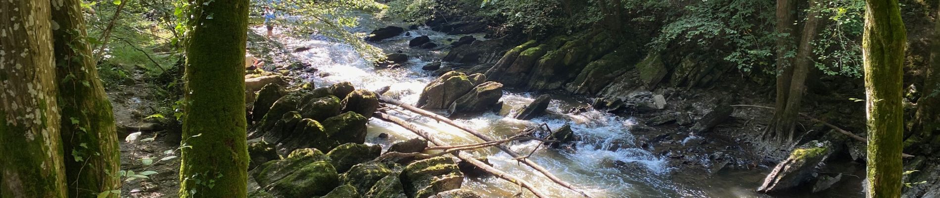 Tour Wandern Rochefort - Entre Lesse et Lomme (GR577) - Photo