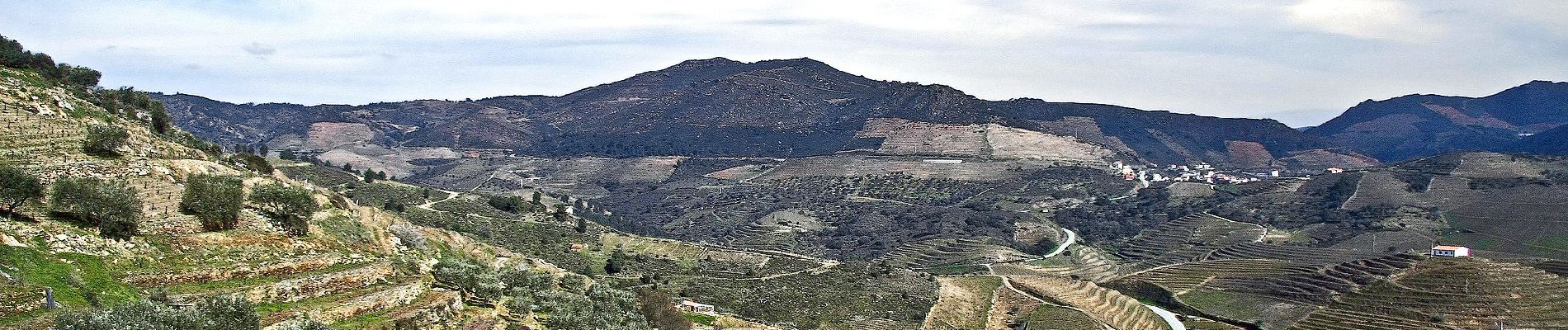 Tocht Te voet Abreiro - Trilho da Sobreira – Casa da Floresta – Porrais - Photo