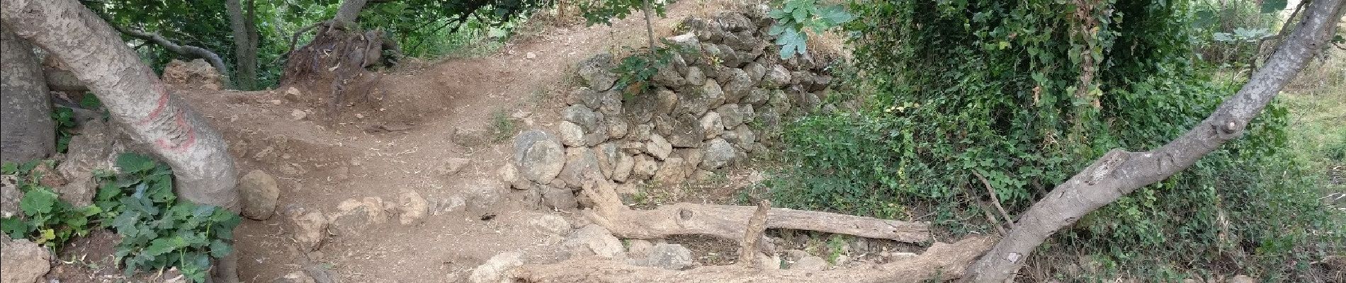 Tour Zu Fuß Regionalverwaltung Mateh Jehuda - עין מטע - שייח אחמד - Photo