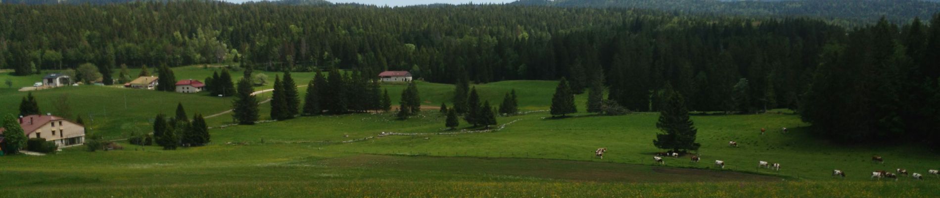 Percorso Marcia Lamoura - Jura 07-06-2019 - Photo