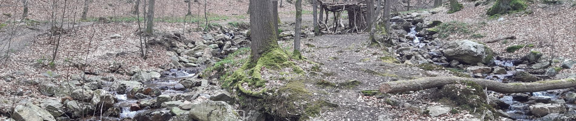 Trail Walking Spa - la havette . berinzenne . thier des rexhons . source geronstere . source barisart .  chapelle de la Roche . la havette  - Photo