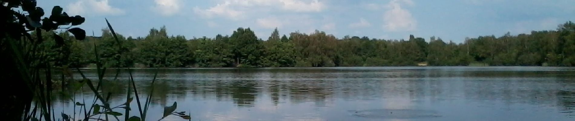 Tour Zu Fuß Houthalen-Helchteren - Hengelhoef Blauwe ruit - Photo