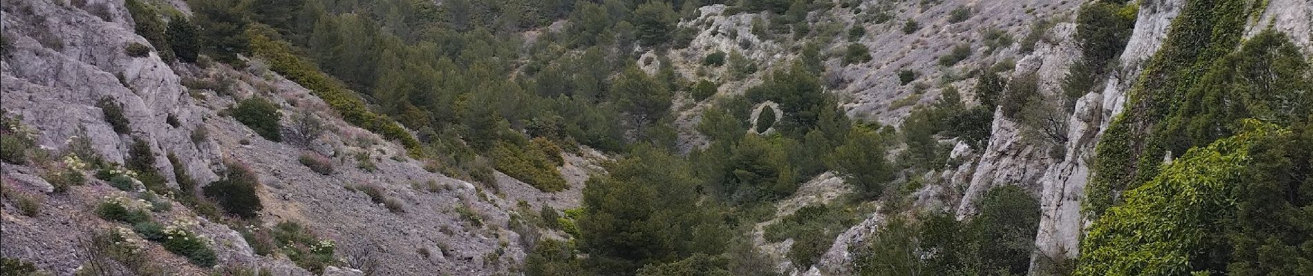 Tocht Stappen Marseille - tour de la grande candelle - Photo