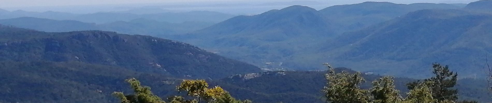 Tocht Stappen Plan-d'Aups-Sainte-Baume - la sainte beaume  - Photo