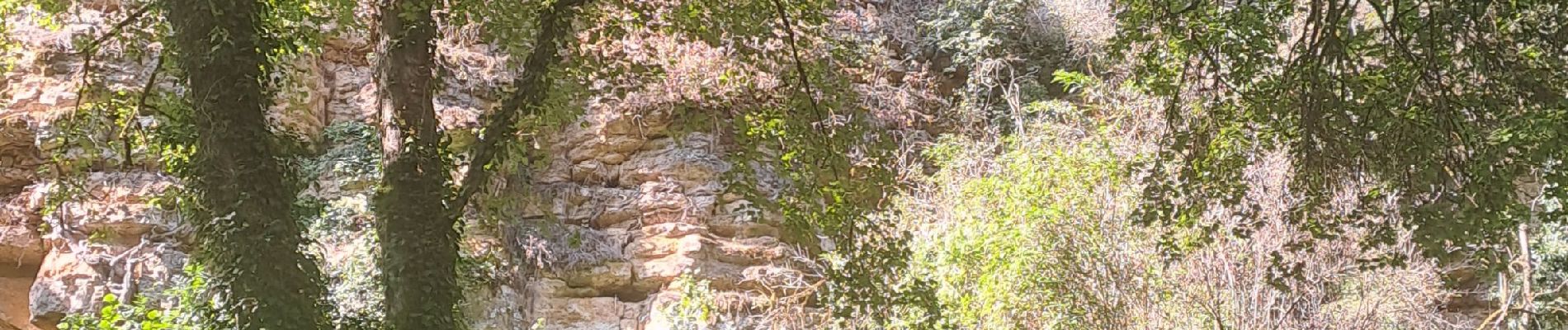 Randonnée Marche Novéant-sur-Moselle - Gorze - Rochers de la Fraze - Photo