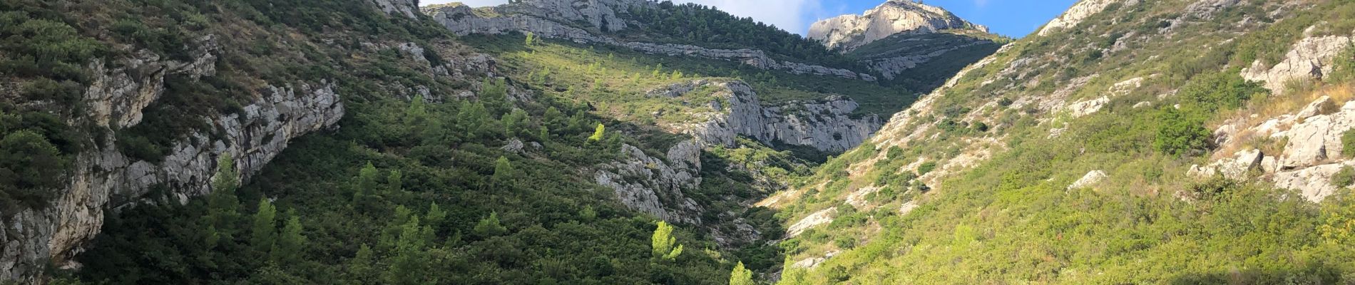 Tocht Stappen Roquevaire - Le Garlaban - Photo