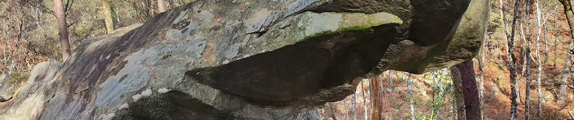 Tocht Stappen Fontainebleau - coseg 26 février  - Photo