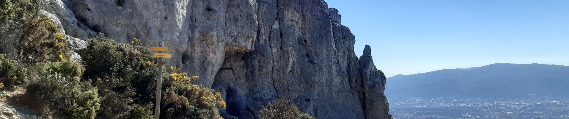 Randonnée Marche Allauch - la treille le gros hibou par tête rouge - Photo