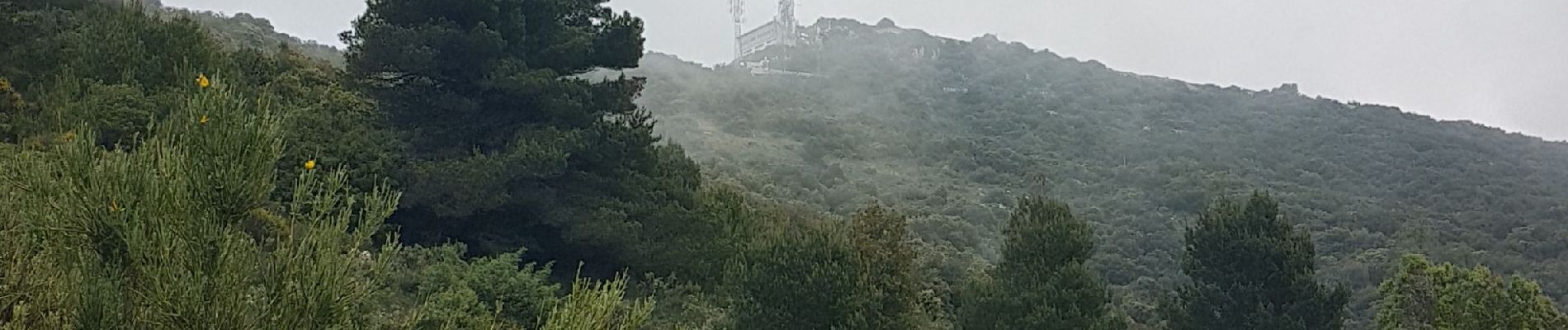 Excursión Senderismo Peille - Mont Agel Sytitrail + - Photo