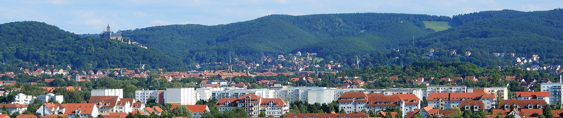 Tocht Te voet Wernigerode - Nordroute - Photo