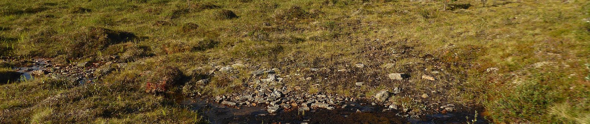 Trail On foot Inari - Poro, luontopolku - Photo