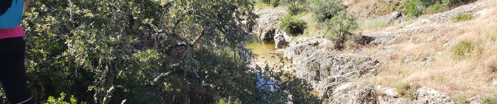 Tour Wandern Roquebrune-sur-Argens - ghg - Photo