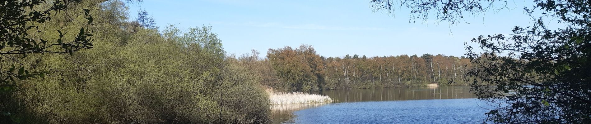 Randonnée Marche Houthalen-Helchteren - petit tour dans la réserve naturelle du Hengelhoef  - Photo