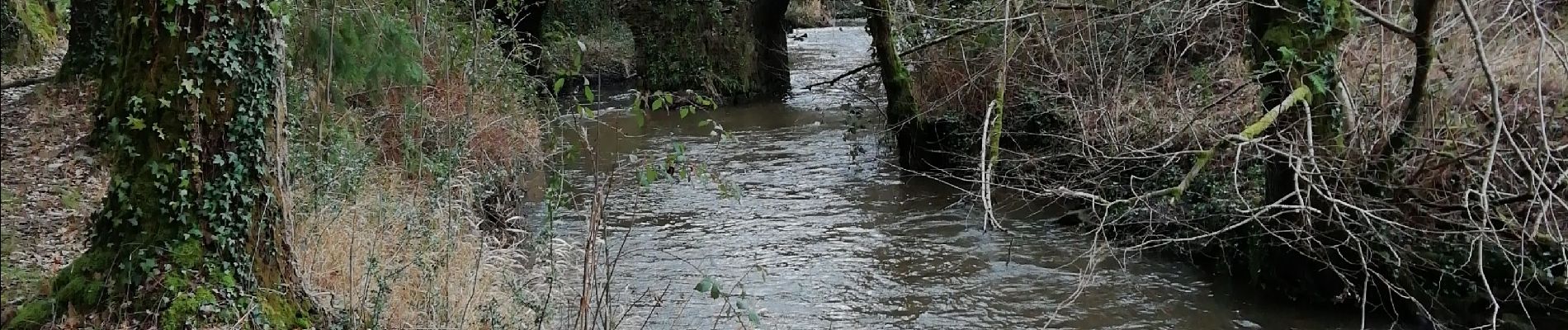 Tour Wandern Chéronnac - moulin du pont - Photo