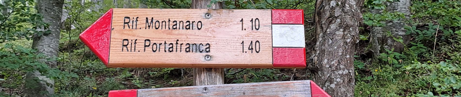 Tour Wandern San Marcello Piteglio - Rifugio Casetta Pulledrari - Monte Gennaio - Photo