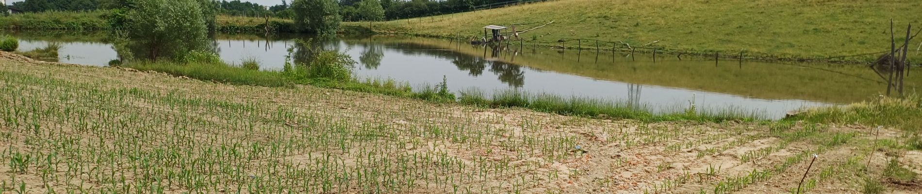 Tocht Stappen Grézieu-la-Varenne - grezieu la varenne. entre chemins et goudron  - Photo