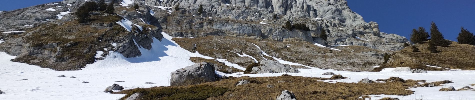 Trail Touring skiing Le Grand-Bornand - Col de Balafrasse et tout de la pointe Est du midi  - Photo