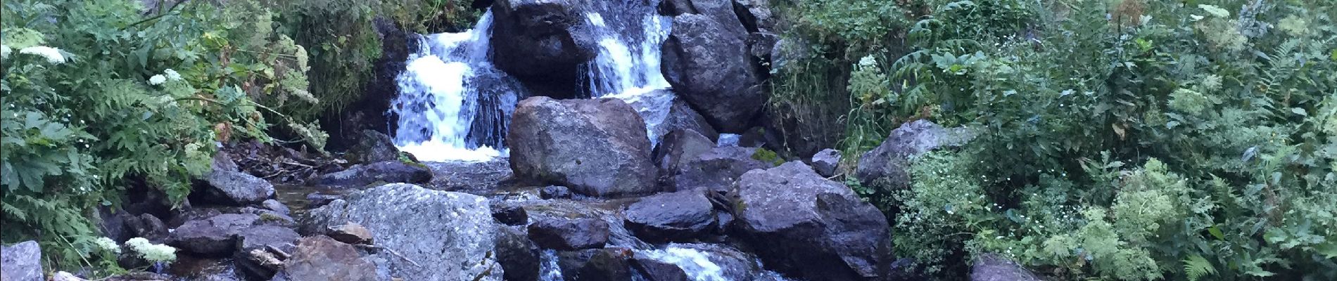 Randonnée Marche Saint-Martin-Vésubie - Le Boréon-La Madone de Fenestre - Photo