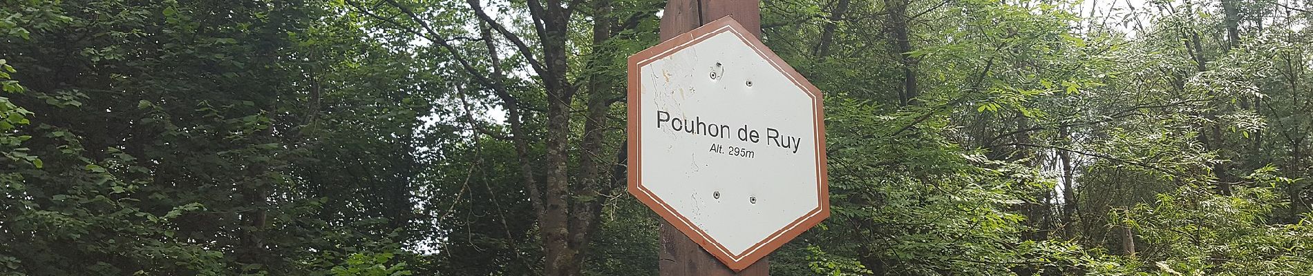 Randonnée A pied Stoumont - 7. Ruy - Exbomont - Mont des Brumes - Photo