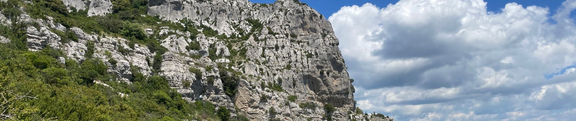 Trail Walking Montpeyroux - Font du Griffe le Baudille - Photo